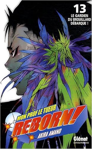 Download Reborn !, Tome 13 : PDF