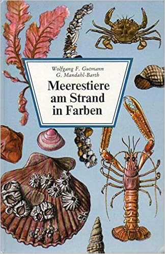 Meerestiere Am Strand In Farben Amazon De Wolfgang F Gutmann