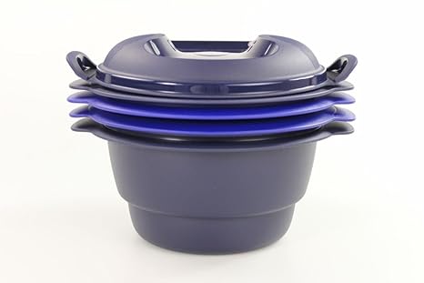 TUPPERWARE Micro Urban azul oscuro 2,0 L 15453: Amazon.es: Hogar
