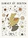 Pop Chart The Survey of Scotch Poster Print, 18