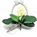 JAROWN Artificial Orchid Leaves Green 2pcs 10 Inches