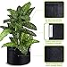 VIPARSPECTRA 6-Pack 10 Gallon Grow Bags – Thickened Nonwoven Aeration Fabric Pots Container with Heavy Duty Durable Handles for Garden Indoor Plantsthumb 2