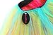 Avidlove Women Sexy Organza Tutu Multi-layers Party Dance Skirt Boutique Ballerina Rainbow Dress