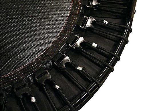 image for Leaps & Rebounds Bungee Rebounder - In-Home Mini Trampoline - Safety B