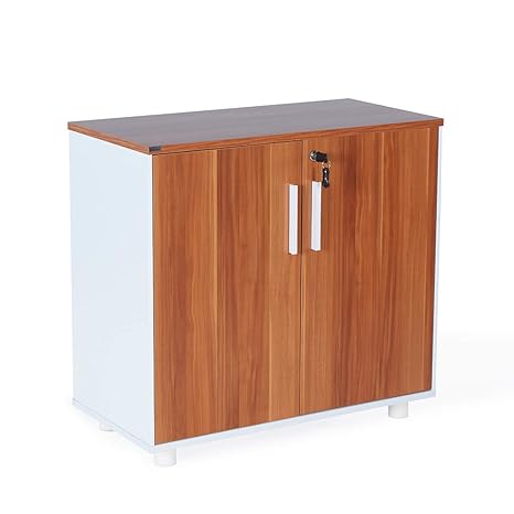 Sunon System Cabinet Storage Cabinet Office File Cabinet With Adjustable 2 Layers Red Apple Amazon In Home Kitchen