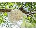 Pavian Advanced Customization Romantic Bride Wedding Holding Bouquet Roses (Ivory A)