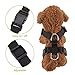 SlowTon Dog Seat Belt Harness for Car, Dog Car Harness Adjustable Mesh Breathable & Dog Seatbelt Safety Tether with Elastic Bungee for Small Medium Large Pets(Black, Single Clip, M)