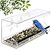 Window Bird Feeder - Transparent Acrylic Design - Wild Bird Feeder - Strong Suction Cups for Easy Outside Installation - Squirrel proof Bird Feeder for Kitchen or Living room Window