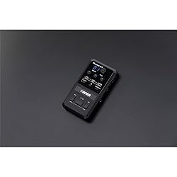 BOSS Pocket GT Effects Processor with YouTube