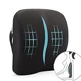 PROMIC Memory Foam Lumbar Support Back Cushion for Lower Back Pain Relief All Seasons Use Mesh Cover & Adjustable Straps for Office Chair Car Seat Couch and Sofa