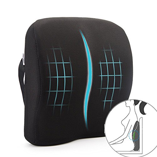 PROMIC Memory Foam Lumbar Support Back Cushion for Lower Back Pain Relief All Seasons Use Mesh Cover & Adjustable Straps for Office Chair Car Seat Couch and Sofa