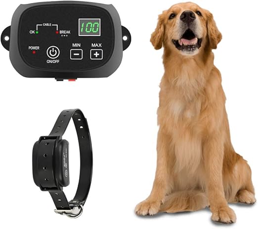 electric dog collar fence