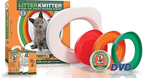 sweet potato can dogs eat