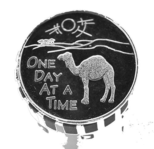 AA /Al-Anon / NA Camel One Day At A Time Aluminum Recovery Token/ Medallion (Cheaper by the ROLL of 25 ) AA Token / Medallion Commemorative (47)
