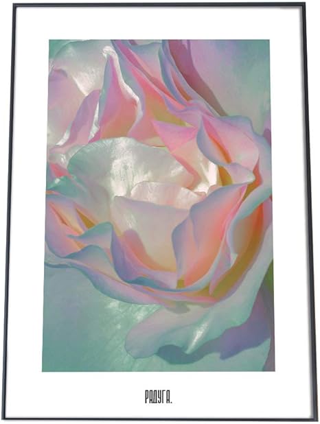 Amazon Co Jp Fashion Poster ファッションポスター 約36cm 52cm ポスター 微光沢 ポスターのみ おしゃれ 韓国 ヨーロッパ 北欧 ボタニカル 薔薇 ばら バラ 花 白 グリーン カフェ レトロ ヴィンテージ レインボー Fg Poster 103 b3biko ホーム キッチン