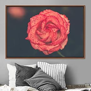 signwin Framed Canvas Wall Art Rose Bohemian Dark...