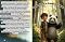 Livro O MENINO E O PANDA PERDIDO