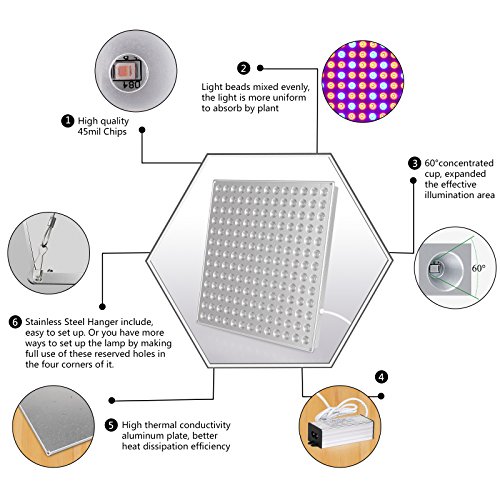 3 Roleadro+Reflector+Growing+Seeding+Flowering