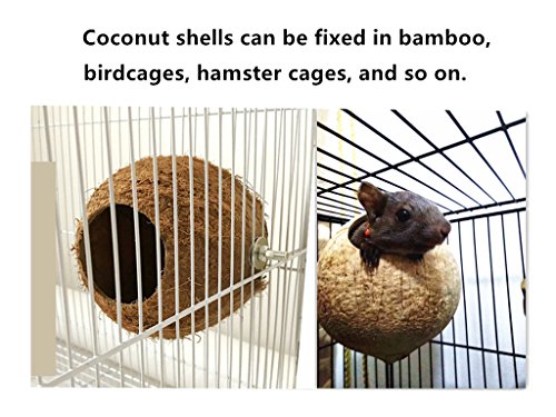 image for Hypeety Pet Bird Breeding Nest Coconut House Swing Ladder Toys Parrot 