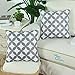 CaliTime Pack of 2 Soft Canvas Throw Pillow Covers Cases for Couch Sofa Home Decoration Modern Circles Rings Chain Geometric 18 X 18 Inches Medium Grey