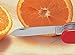 Victorinox Swiss Army Climber Pocket Knife