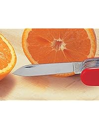 Victorinox Ranger