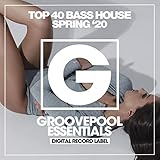 Top 40 Bass House