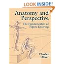 Anatomy And Perspective The Fundamentals Of Figure