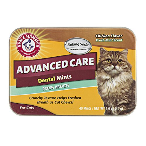 Arm & Hammer Pet Dental Care Fish-Shaped Dental Mints for Cats | Reduces Plaque & Tartar Buildup Without Brushing, 1.6 ounces (40 Pcs), Chicken Flavor