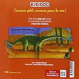 Image de Kididoc: Les Dinosaures (French Edition)