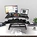 Birsppy Alloyseed Standing Desk, 33