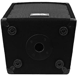 Seismic Audio - 8 Inch PA DJ Pro Audio Band Speaker