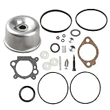 Buckbock 493762 Carburetor Overhaul Kit and Float Bowl for Briggs and Stratton 498260 492495 796611 493640 490937 398183 498261 for 20-141-1 20-141 carb fit for 3.5 4HP Max Series Engine