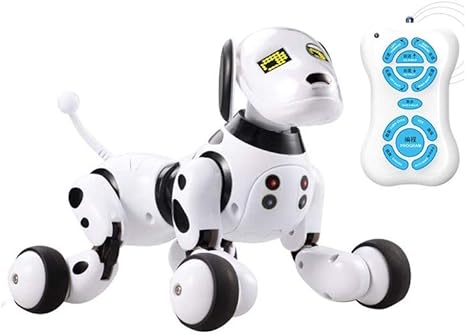 remote control dog toy