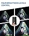 Etekcity Lantern Camping Lantern Battery Powered Led for Power Outages, Emergency Light for Home, Hiking, Hurricane, Camping Gear Accessories , Portable & Lightweight, Batteries Included