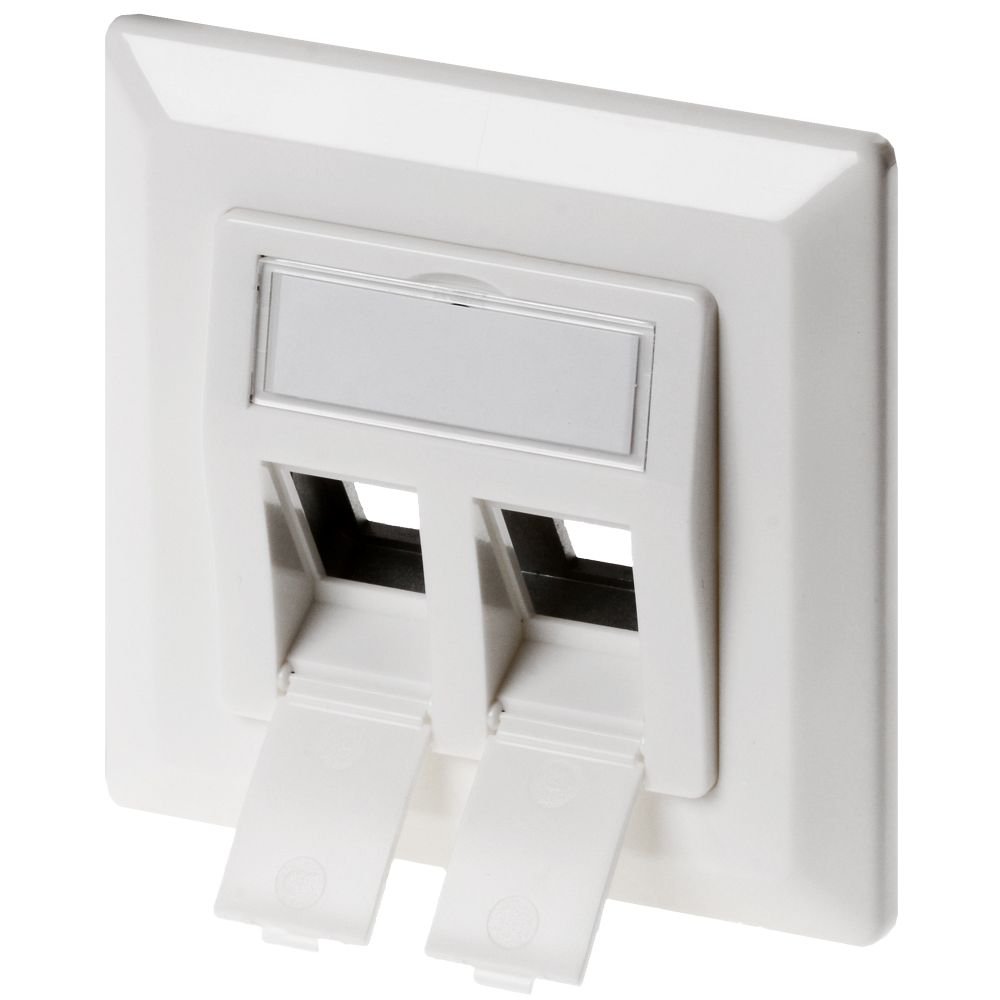 DeLOCK Keystone Junction Box 2 Port
