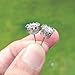 Gold Male Earrings Cubic Zirconia Stud Earrings Round Cut Mens Earring Studs Crown Earring (Gold + Silver)