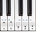 New And Improved - Keysies® Transparent Plastic Removable Piano and Keyboard Note Stickers - Plus Handy Placement Guide.