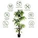 Goplus Fake Tree Artificial Sargent Gloryvine Plants in Nursery Pot Decorative Trees for Home, Office, Lobby (5ft Sargent gloryvine)