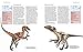 Dinosaurus: The Complete Guide to Dinosaurs