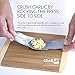 Gear Up Hub Stainless Steel Garlic Press