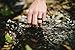 QALO Men's Functional Silicone Ring, Forest Green, Size 10