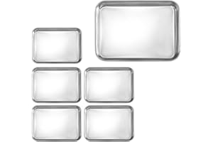 Guoguiming 6 Pack Small Stainless Steel Plates, Mini Metal Food Tray Plate, Portable Size Baking Sheets for Oven, Campers