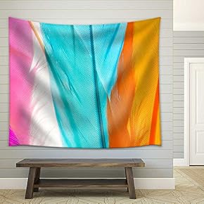 Colorful Feathers Close Up Texture - Fabric Wall Tapestry Home Decor - 51x60 inches