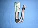 Croakies Suiters Eyewear Retainers Rainbow Trout Print - Fly Fishing