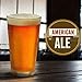 Mr. Beer American Ale Light 2 Gallon Homebrewing Refill