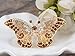 Alilang Empress Monarch Winged Butterfly Crystal Rhinestone Brooch Pin