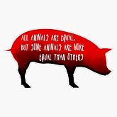 Animal Farm : Pig Quote George Orwell Design Sticker Decal Vinyl Bumper Stickers Waterproof 5"