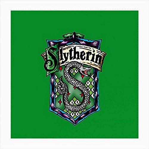Slytherin Harry Potter Glasses Cloth (Medium, Two Sides)