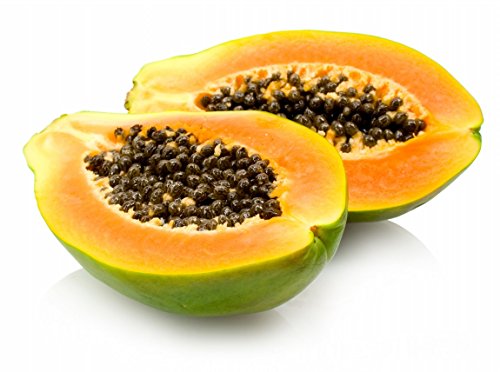 Go Green Papaya Selection Red Lady Indian Beauty Type Seeds (Pack of 50)